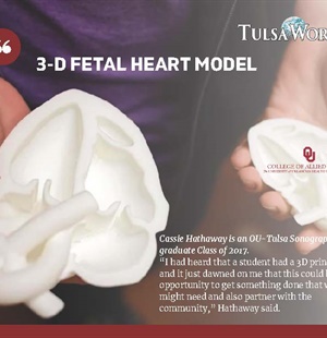 3-D Fetal Heart Model