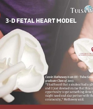 3-D Fetal Heart Model