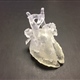 Clear Resin Heart showing Blood Pool Volume & Double Aortic Arch
