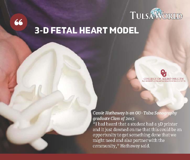 3-D Fetal Heart Model